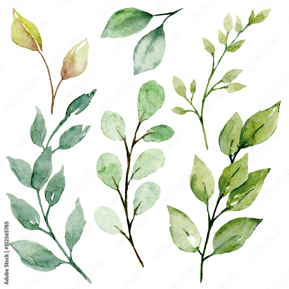 Leaves watercolor set. Hand painting floral illustration. Green leaf, plants, foliage, branches isolated on white background.  - obrazy, fototapety, plakaty 
