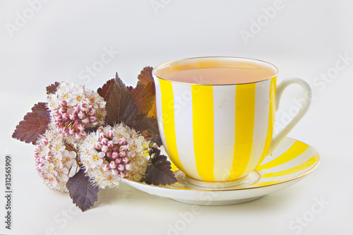 Fototapeta Naklejka Na Ścianę i Meble -  green tea in beautiful cup