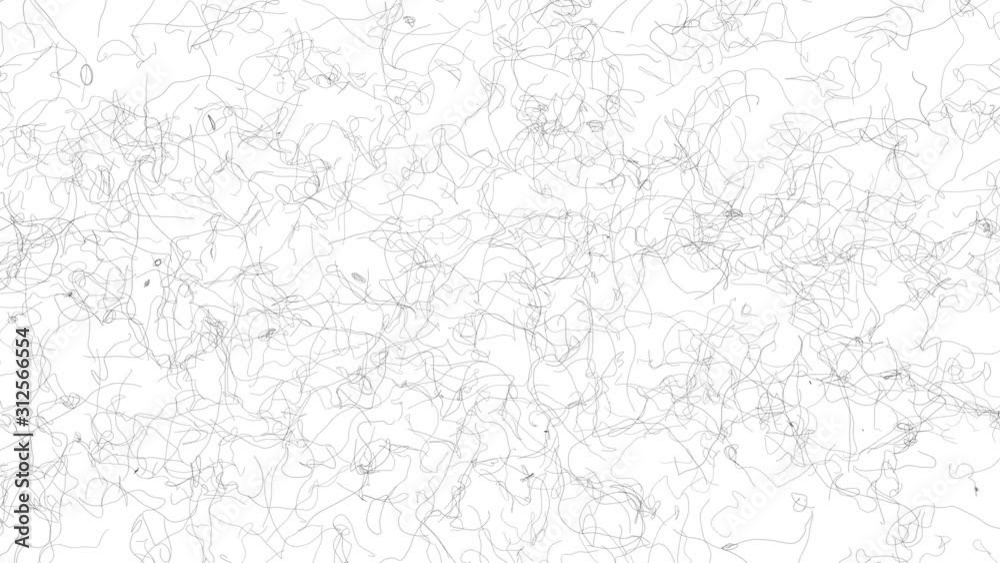 Thin black lines fly on a white background. Thin black lines fly on a white background.