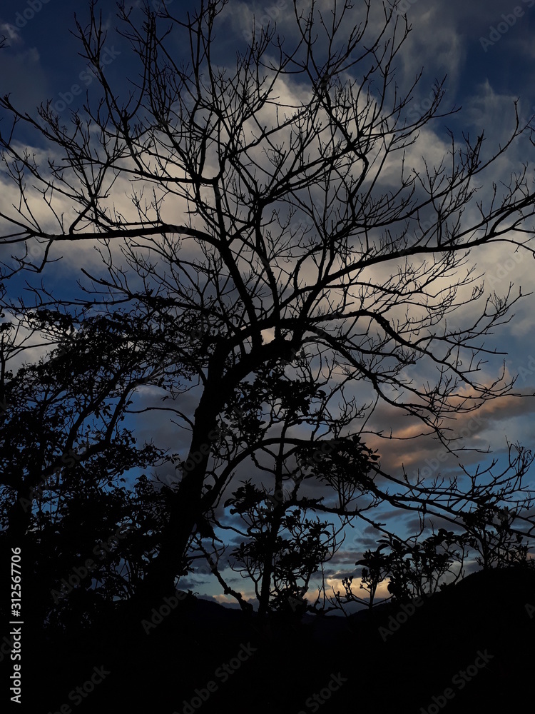 otoño otoño
