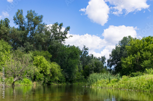 Landscape of a quiet river in a summer forest