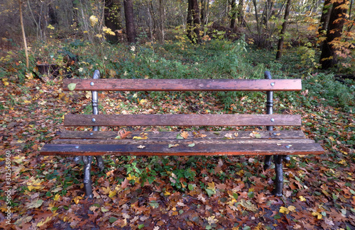 bench with pipes in the forest
