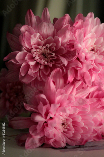 A bouquet of flowers of pink color.  Macro shot of buds.