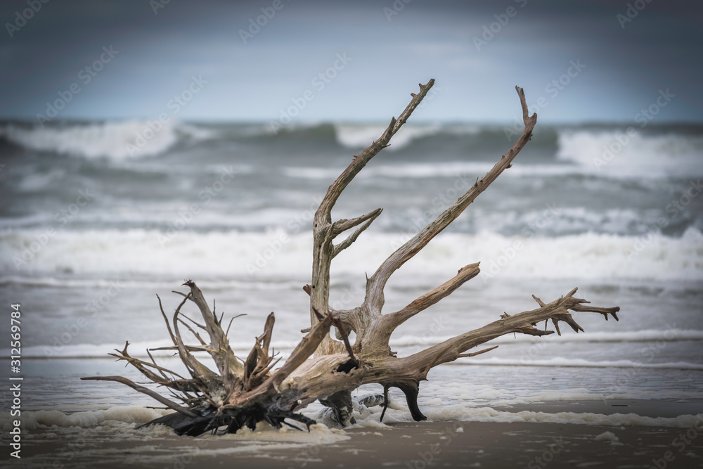 Outer Banks, North Carolina Outer Banks, North Carolina
