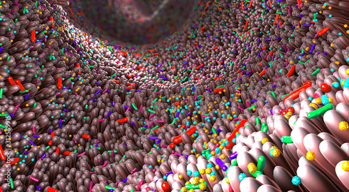 Different germs in the human intestines called microbiome - 3d illustration photo