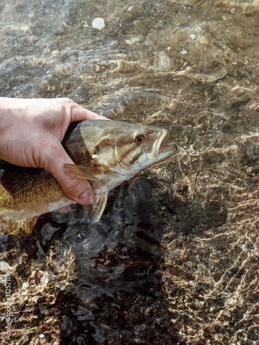 Catch and Release Fishing photo