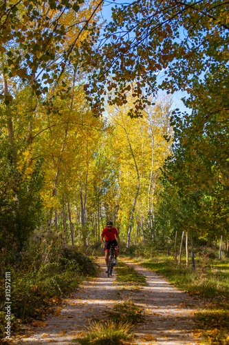 Ciclista por el bosque en otoño
