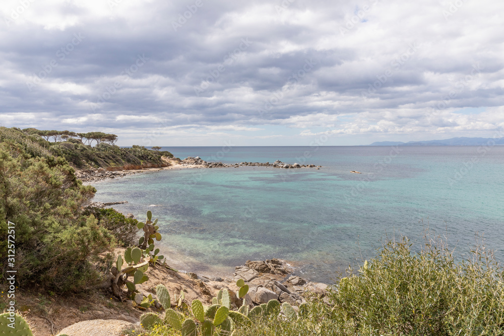 Beautiful bay hidden by vegetation Beautiful bay hidden by vegetation