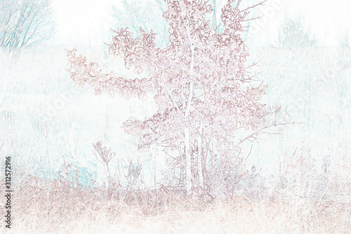first snow on the branches in the fog