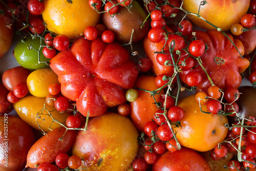 Ripe tomatoes photo