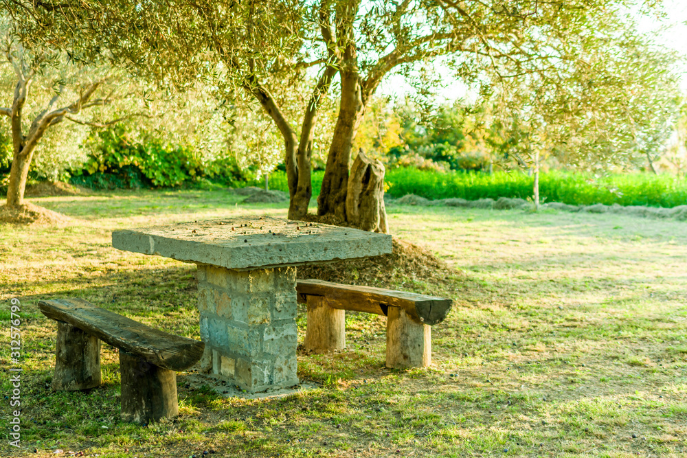 stone table and wooden benches in the countryside below olive trees