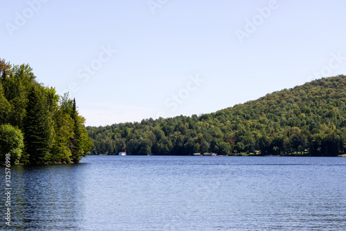 lake in the forest