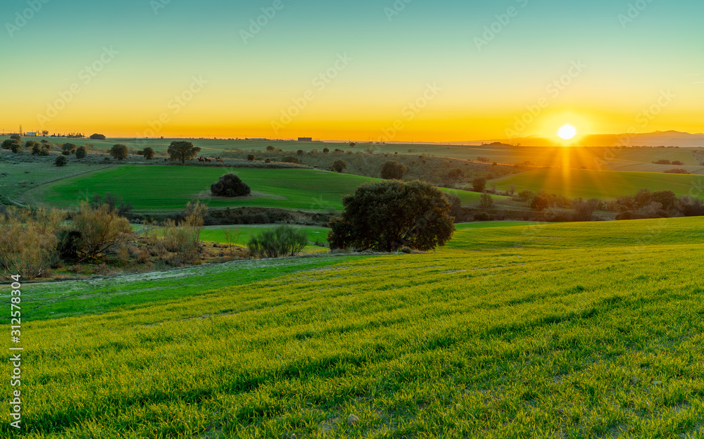 sunset over green field and bushes