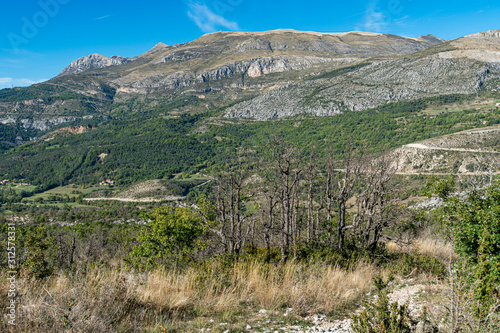 High angle landscape panorama of Verdon gorges, canyon with forest, rocks, cliffs, trees and wild nature, sun, blue sky, Alps, Alpes de Haute Provence, France.
