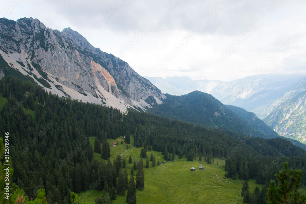 Fototapeta premium Alm in Österreich