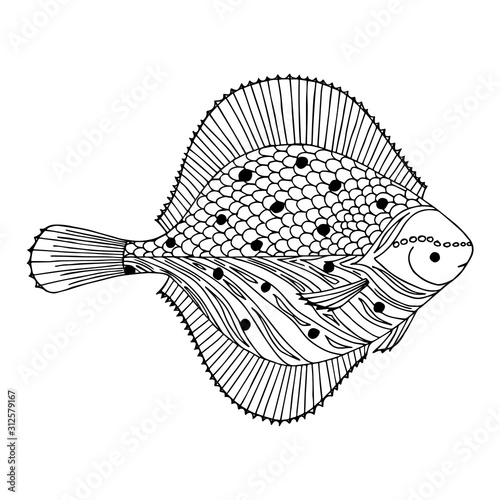 Flounder. Hand drawn coloring page. Stock vector illustration.