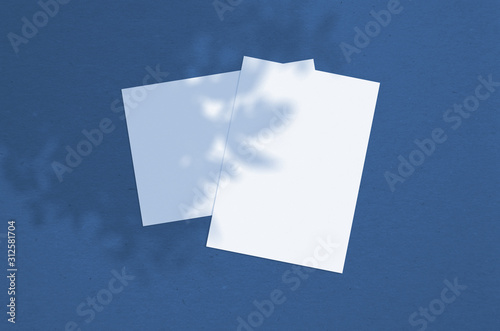 Blank white vertical paper sheet 5x7 inches with tree shadow overlay. Modern and stylish greeting card or wedding invitation mock up. Color of the year 2020 classic blue
