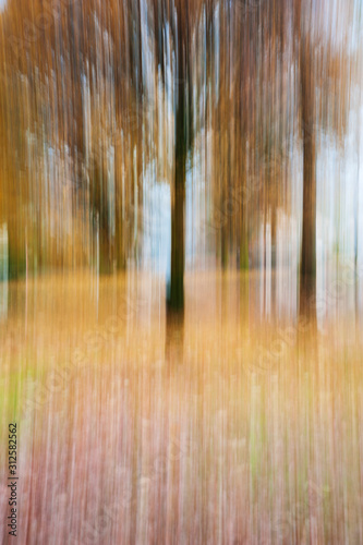 Abstract picture of a colorful park in autumn, shot with motion blur technique