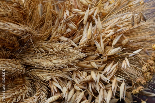 brown natural texture of dry stems of plants and wheat in a bouquet