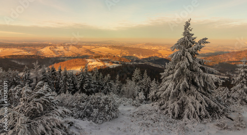 Blick aufs Lausitzer Gebirge Tschechien beim Sonnenuntergang vom Tannenberg, jedlová Tannenberg (Jedlová), Burgruine Tollenstein (Hrad Tolštejn), schneebedeckte Bäume photo