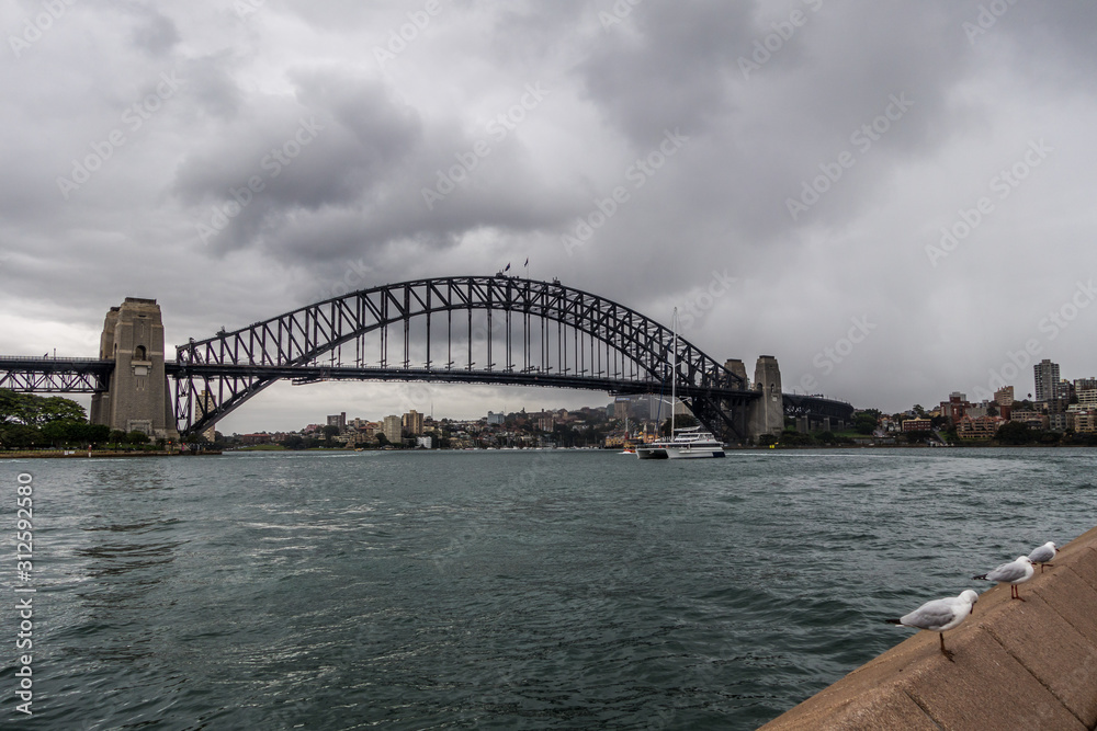 Fototapeta premium Sydney Harbour Bridge