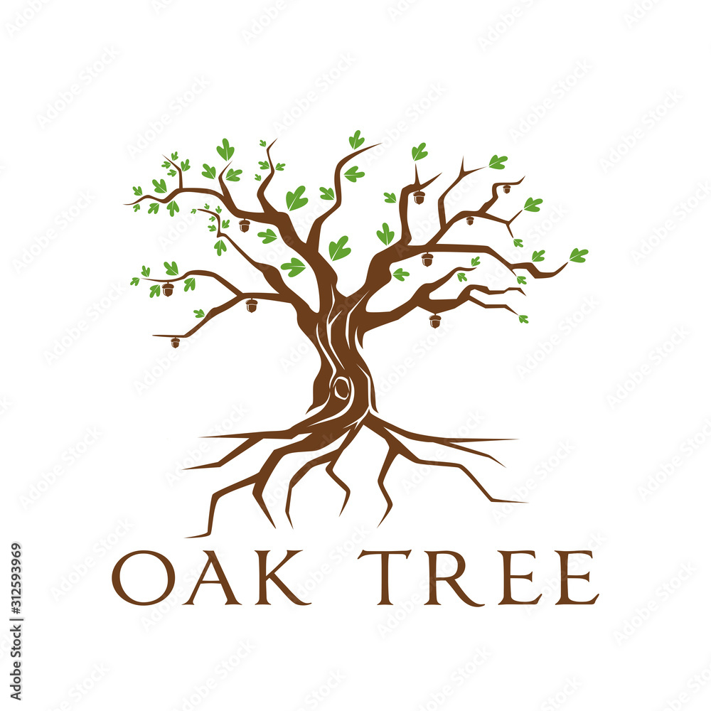 Fototapeta premium Green Creative Oak Tree Logo Design Symbol Illustration
