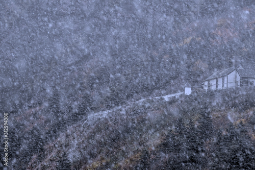 Fotografie Sudden blinding snow squall on Newfoundland mountainside with house perched on i