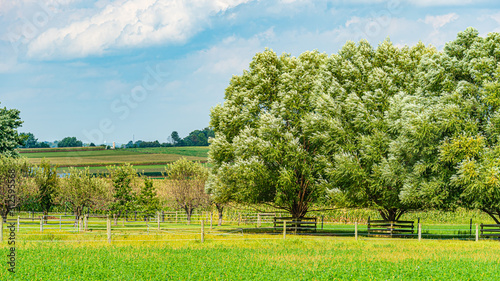 Obraz na plátne Amish Country, Lancaster PA US - September 4 2019,house, fence, tree, grass on t