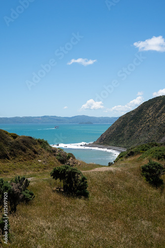 View from Makara in New Zealand along the coastline 
 photo