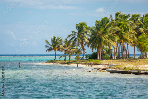 Beautiful tropical island with coconut palms and sea
