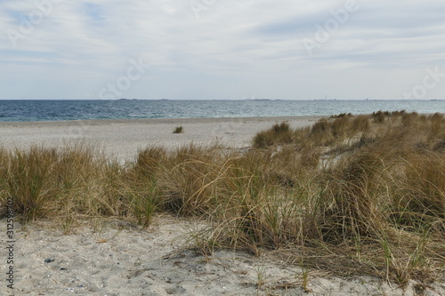 Strandspaziergang in den D  nen