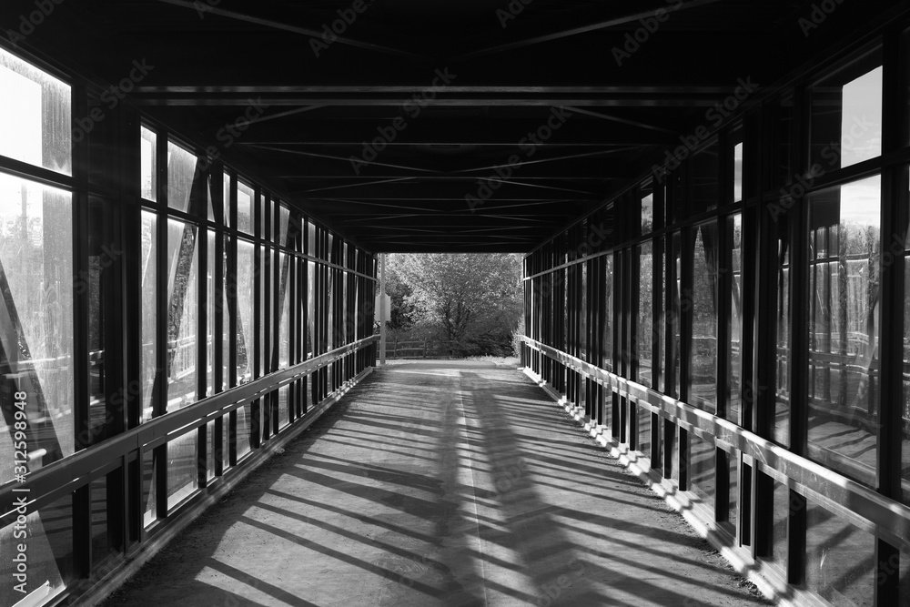 pedestrian pathway above highway, golden light shining creating shadows. green forest in the end. Black and white. pedestrian pathway above highway, golden light shining creating shadows. green forest in the end. Black and white.