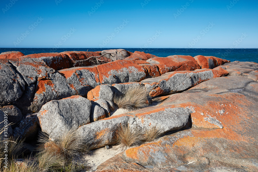 Φωτογραφία A variety of shots showing the rock formations at Bridport, Tasmania