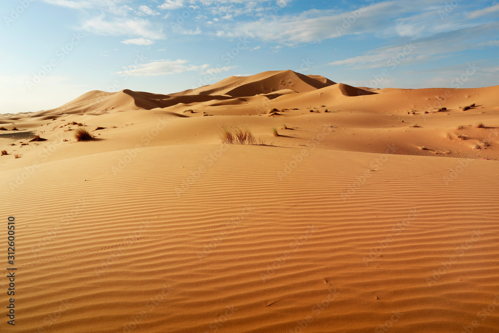  sand dune in the sahara desert  - obrazy, fototapety, plakaty 