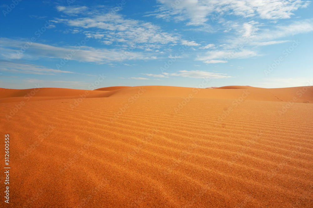  sand dune in the sahara desert 