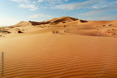 Fotobehang sand dune in the sahara desert