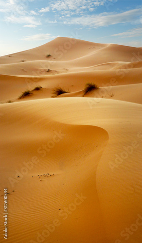  sand dune in the sahara desert 