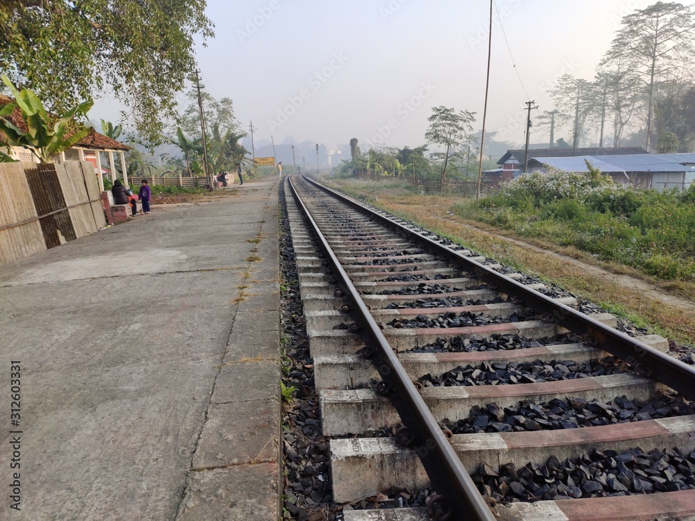 Railway track alone in forest