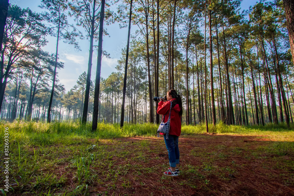 Photographers enjoy nature photography in the morning Photographers enjoy nature photography in the morning