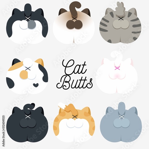 Cute Comic Cat Butts Illustration Collection 