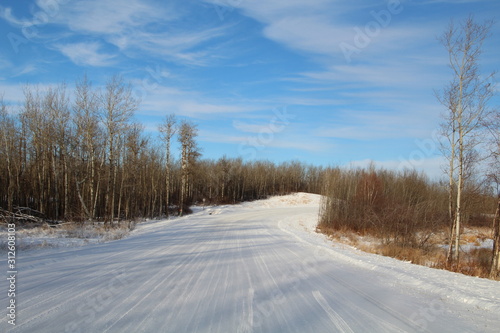 Snowy Backroad, Elk Island National Park, Alberta