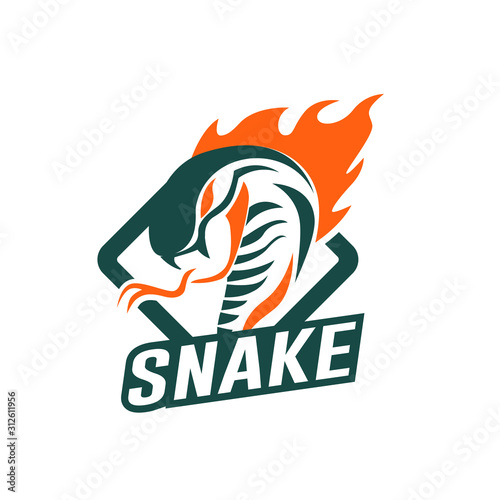 king cobra logo template design Vector illustration