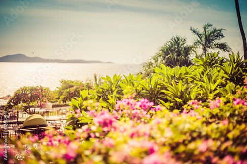 Beautiful landscape of the sea  flowers  palm trees on a summer sunny day.