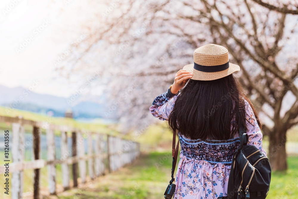 Asian beautiful young woman walking in green grass garden with sakura and cherry blooming tree landscape background.Concept of travel in spring season of japan.