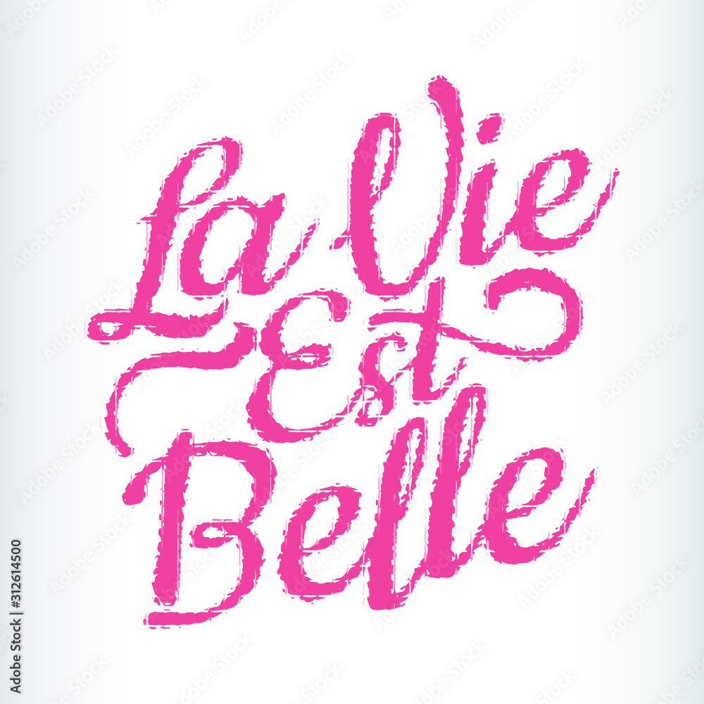 La vie est belle translation in English Life is beautiful. French quote  Stock Vector | Adobe Stock