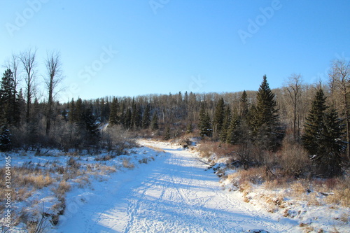 Fototapeta Naklejka Na Ścianę i Meble -  Snowy View, Whitemud Park, Edmonton, Alberta
