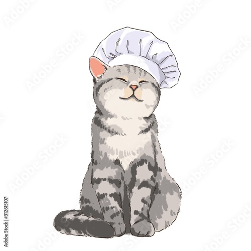 Photography Cat chef