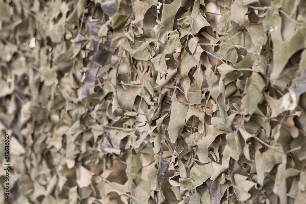 Fence covered with a camouflage net under dry foliage Fence covered with a camouflage net under dry foliage