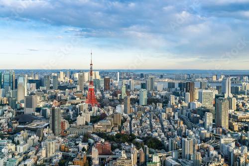 aerial view of Tokyo city  Japan