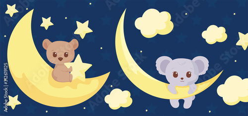 Cute bear and koala cartoon vector design